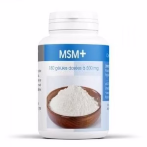 GPH MSM 500 mg 180 Gélules