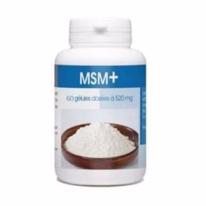 GPH MSM 500 mg