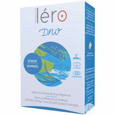 LERO DNV Stress Et Sommeil