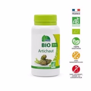 MGD NATURE ARTICHAUT BIO
