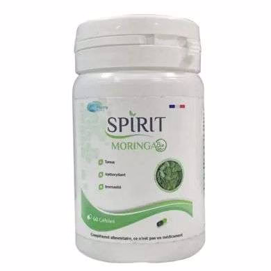 SPIRIT MORINGA