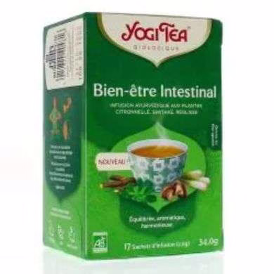 YOGI TEA Bien-Être Intestinal