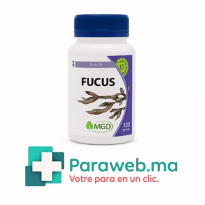MGD FUCUS